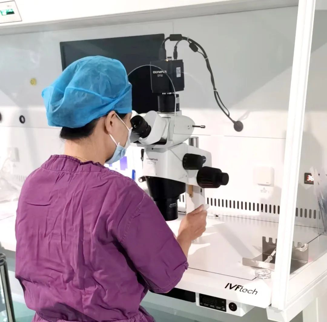 【喜訊】保山首例無精子癥通過試管嬰兒技術(shù)助孕成功！